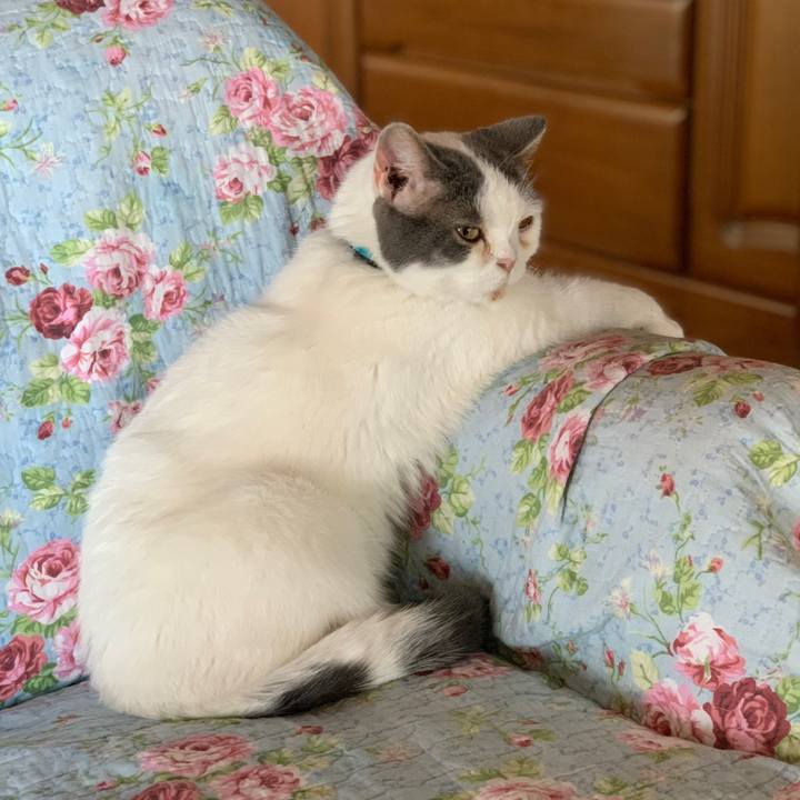 0ae37408 27b9 4f5a 9e37 af5e937d0e4d 1693618258092