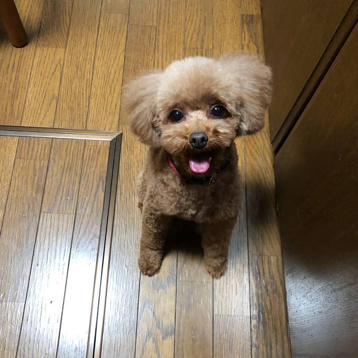 0ae3d607 5ed8 4d73 ad1a 5269dc871a3b 1616301984949