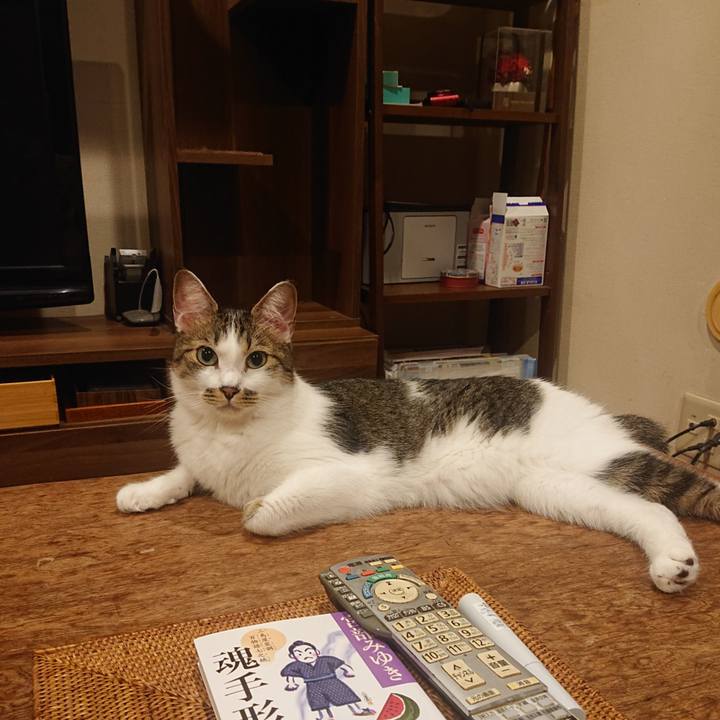 0ae40eb2 b457 4291 9a53 7d5359e3b96c 1726757458012