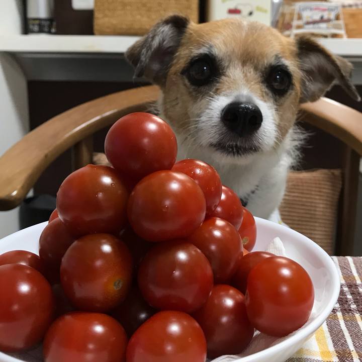 0ae43c6f 5169 4f47 88e0 3e4d2d1693c8 1559728805823