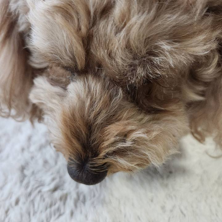 0ae43f46 28aa 4ec6 8260 f4b7908fd082 1766013750963