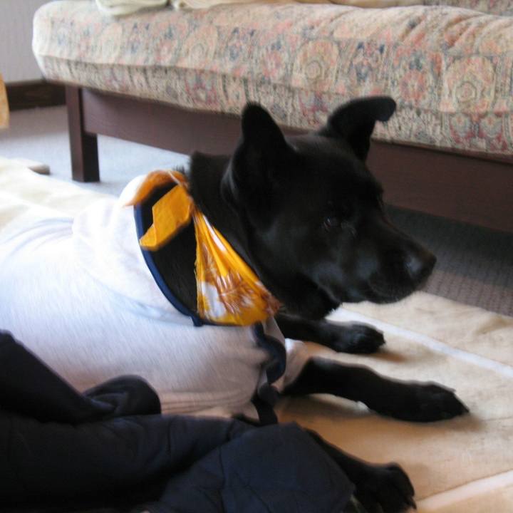 0ae43fb2 2d4b 4b21 98cc ccd5be772a22 1755052412488