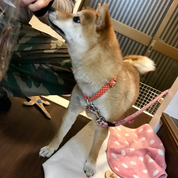 0ae46ff1 de40 436d abb5 cc5020750797 1524059587724