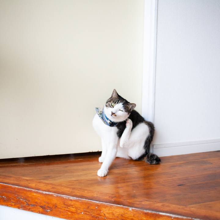 0ae48c92 bb1d 46fd 922d cabd0d4cca68 1571363929915