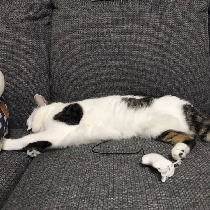 0ae4a44e 6acc 4fab b121 df67952bc395 1556423081446