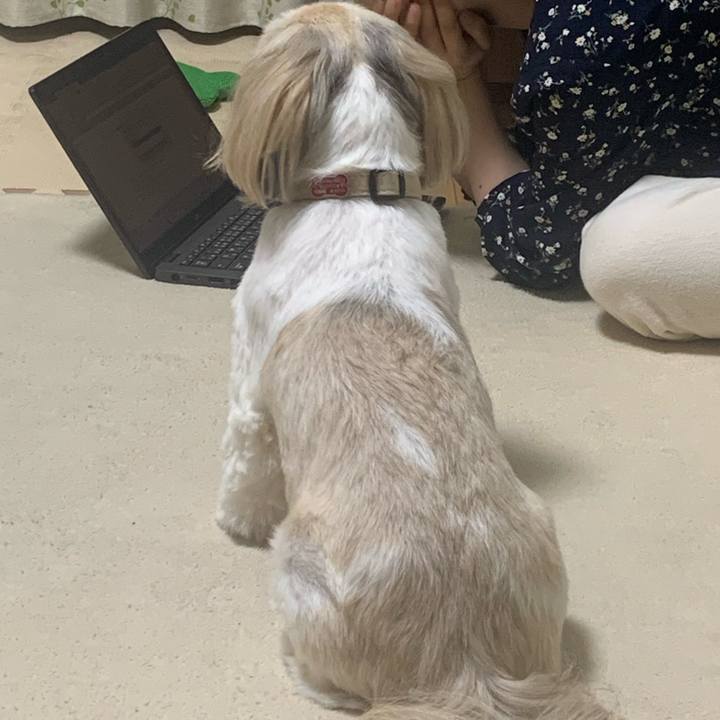 0ae4a753 62f3 41eb a434 b8f1da2314a7 1694526714204