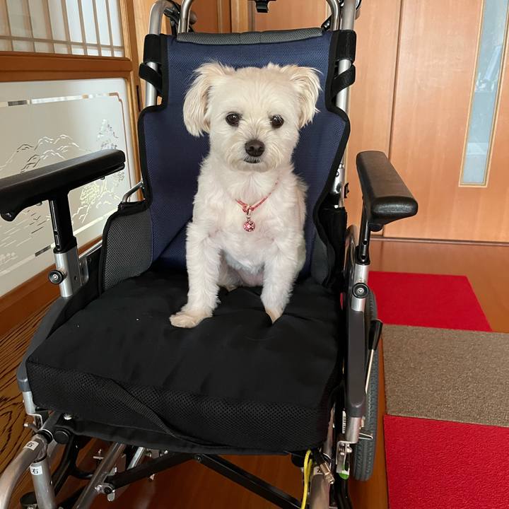 0ae4cf6a ac87 41f3 a3a3 317a98896e6c 1657765271754