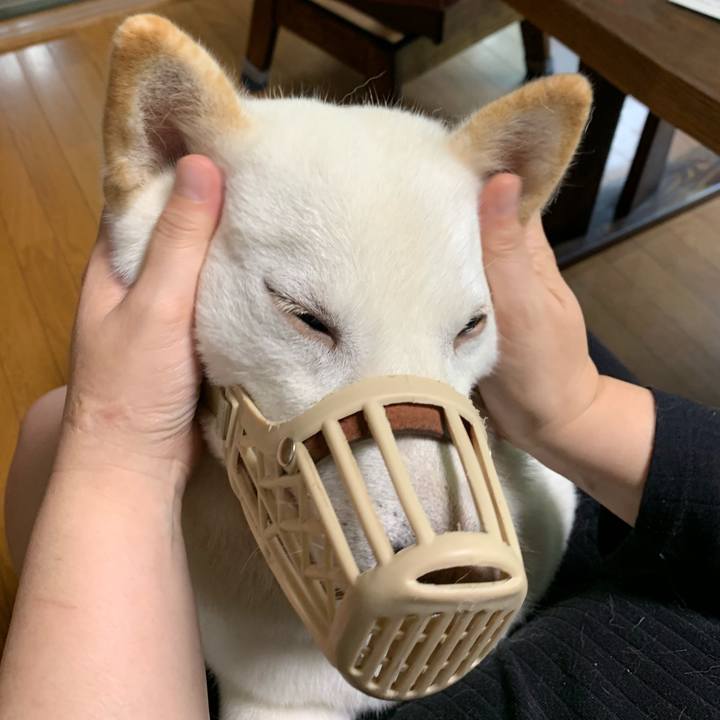 0ae4cfa1 e8ed 49e4 9c9f 5308cb11bd81 1569107536938