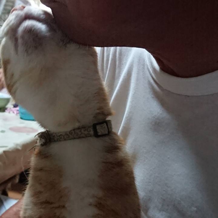 0ae4f79a 8e0b 4009 9643 ae4b948d5445 1593299251674