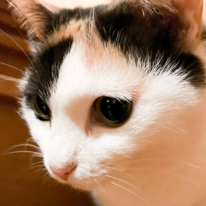 0ae4ff70 3096 40a6 bb48 7d0b06c02bfa 1520075851764