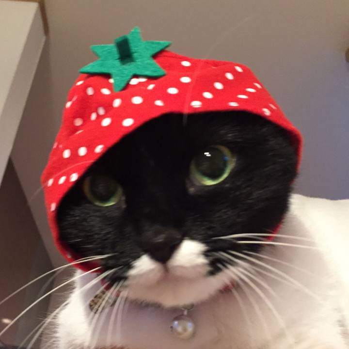 0ae50fc5 1323 42f6 9da5 ac4905dc6ea7 1508657922591