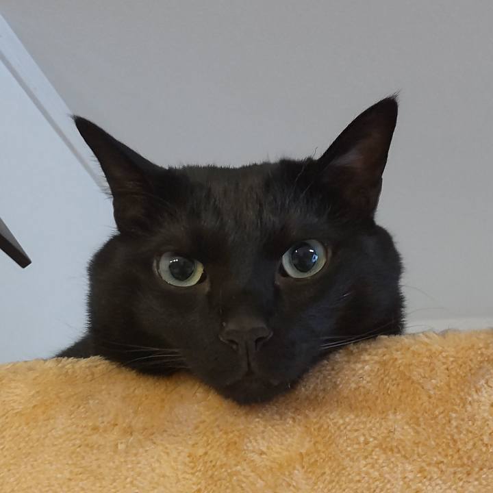 0ae51794 e2a2 45e4 84eb 51a915e4b065 1683420997394