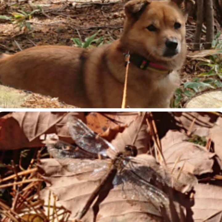 0ae52771 bc1f 4177 8b9c bab3e56d4ab0 1637659335674