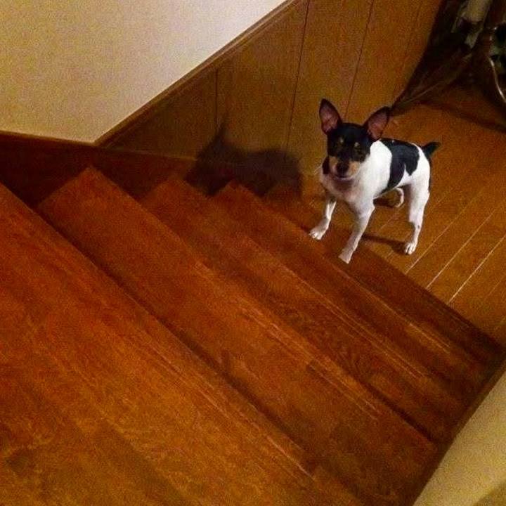 0ae536e6 da87 49e7 8fc4 30a4f6ab5d7a 1746485037311