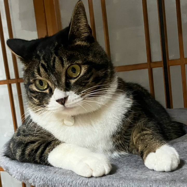 0ae55835 46ff 43b2 a436 e09087f9b9d0 1765584540531