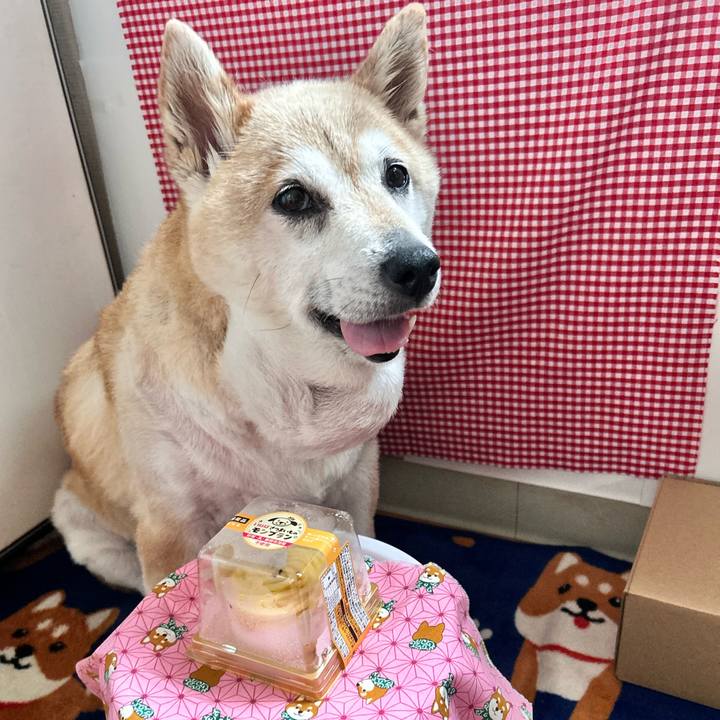 0ae58180 e78b 4aaf a94a 3d859e739a3b 1752568310557