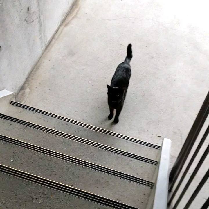 0ae58902 8c7f 4d39 a063 0c652bc6cc29 1590016549809