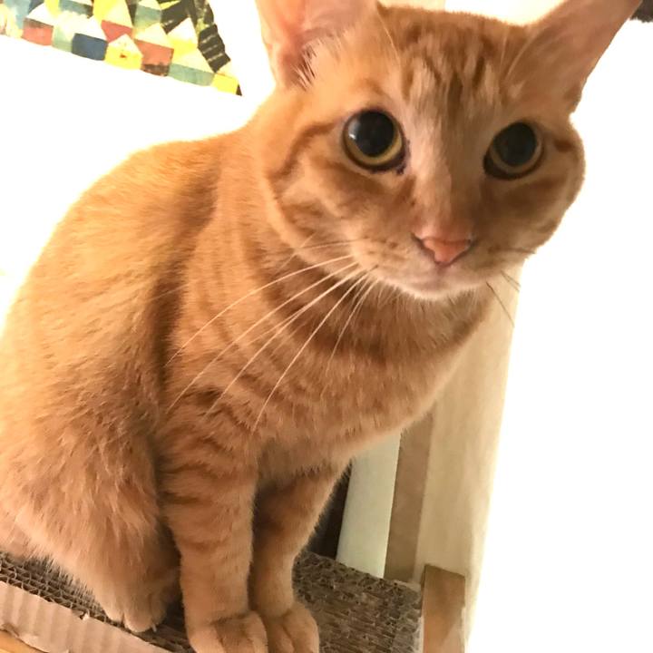 0ae5e8e1 8cd4 4eac aa8d fa002369eb95 1594594364249