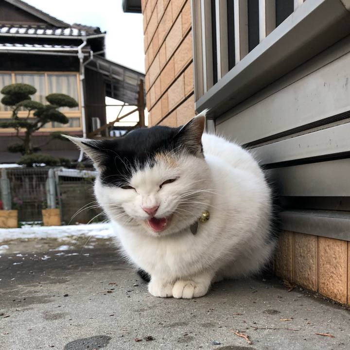 0ae61515 f65c 43dd 9e7a f8c4c331abdf 1610183327855