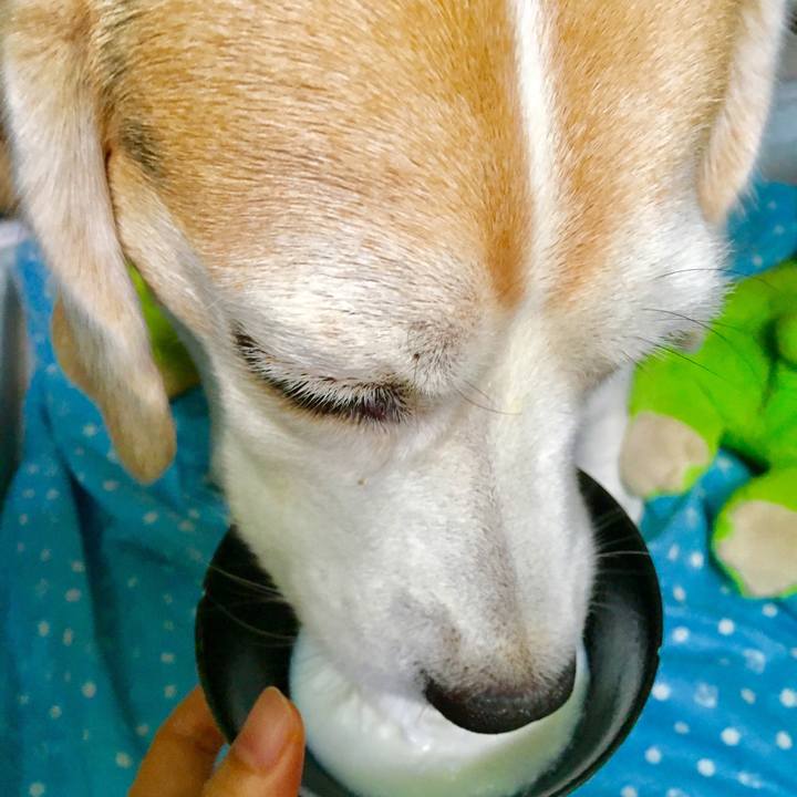 0ae63b6f f3cc 401a 8bc8 e80ac79b8bf8 1535242031769