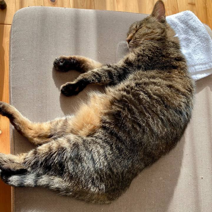 0ae65ac6 044e 4130 8310 4d20ac0b1ce3 1672455190879