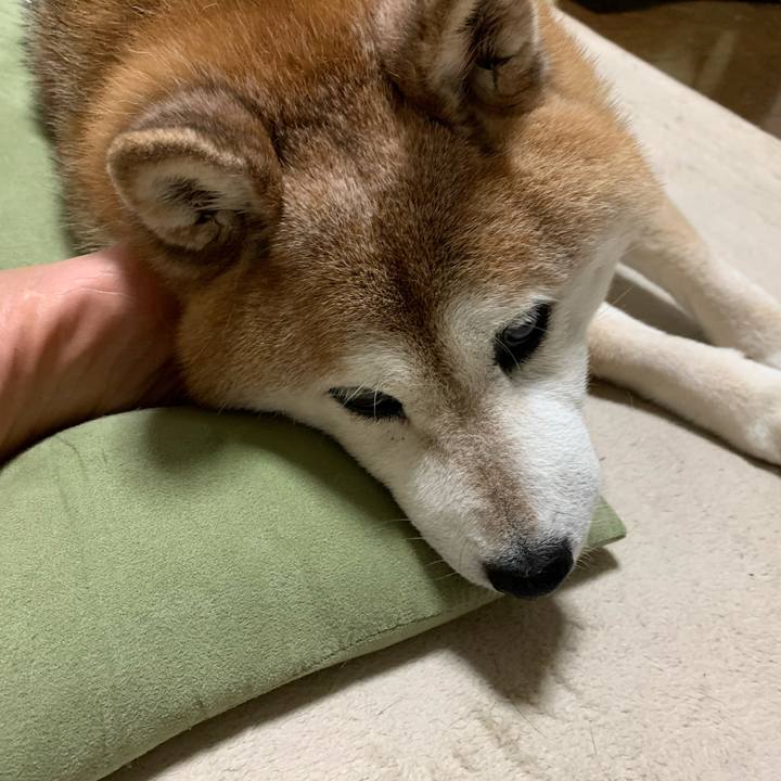 0ae67a17 fd2c 4a3c adc8 e5f60cf58bfe 1591621413994