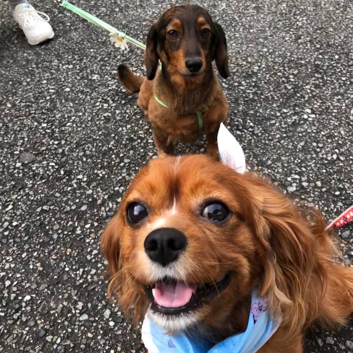 0ae69d32 d2c6 4dd3 be5c 45353f82d84a 1591438406898