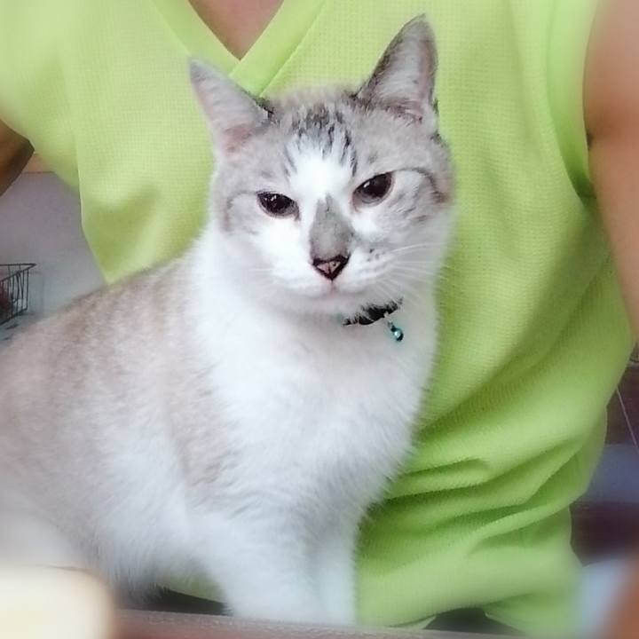 0ae6a83b 0d1f 4493 b398 81dd3b3c2be8 1598740602704