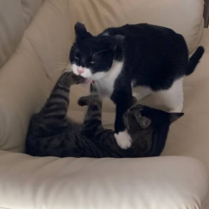 0ae6af74 56a7 4153 837d a0f97ddb9252 1674967181768