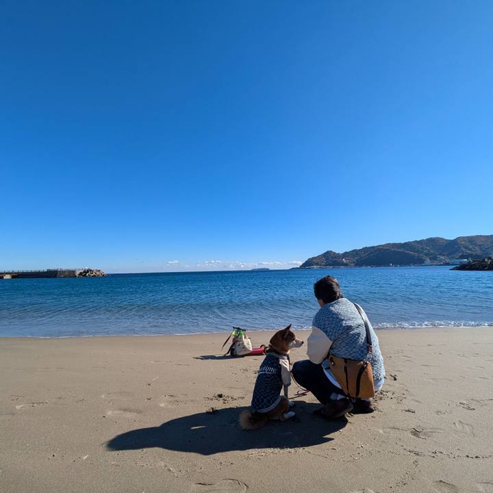 0ae6d0bc 7db9 4703 afeb 913dd6401107 1734619600479