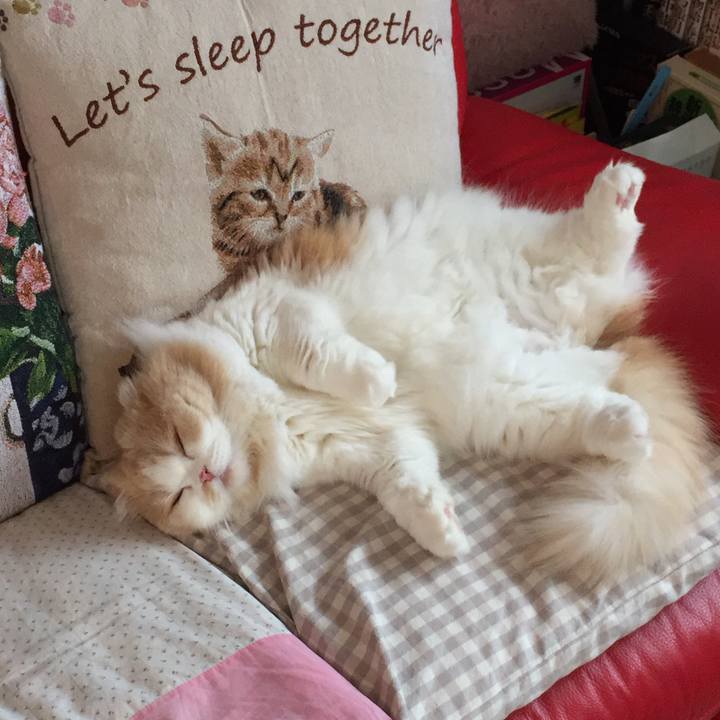 0ae6e0a2 05e8 4573 9ea1 bba743e88f37 1527463163876