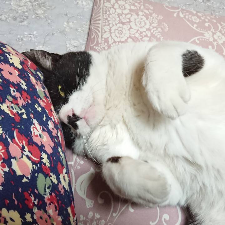 0ae70dc7 7910 4792 bfb4 73a1860b37a4 1619947405351