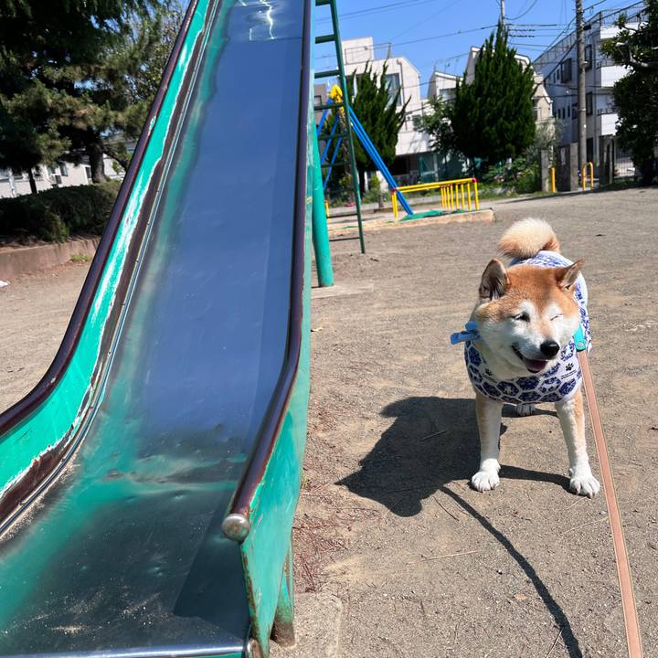 0ae71923 acb3 434e ab15 f1c8da1c677f 1718323098238