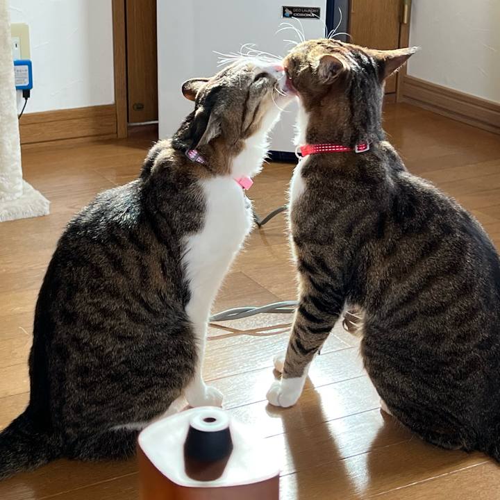 0ae72367 cb1e 4d98 ae23 859895fad3ef 1720325418842