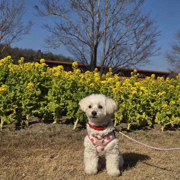 0ae7238a 14ac 4bd8 85d9 2009d7e65242 1771667720036