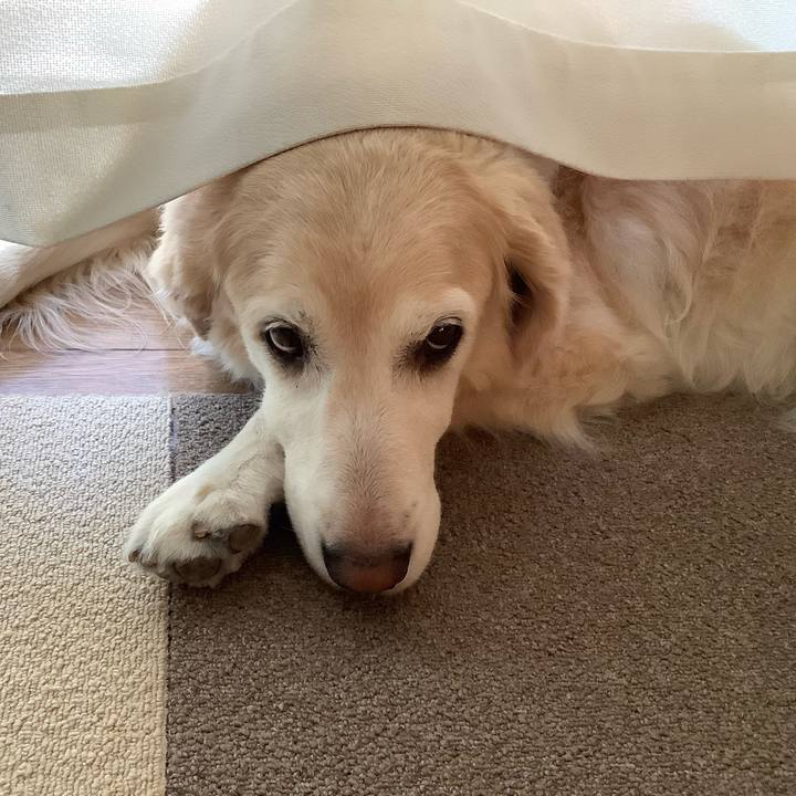 0ae762b8 b430 4d26 8a00 ffbec19e6409 1630963582127