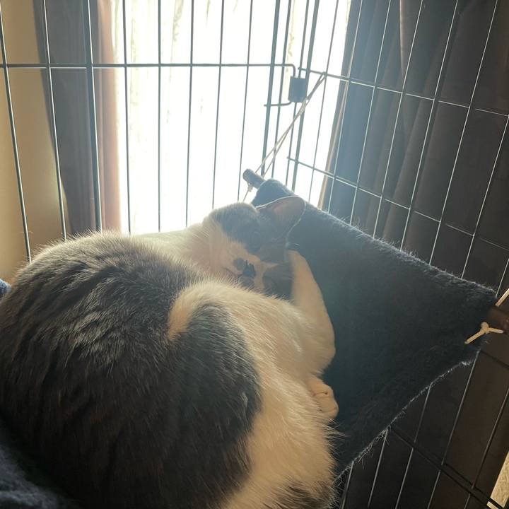 0ae78ed3 2bc1 40bf b178 70aeeff49acc 1675383083857