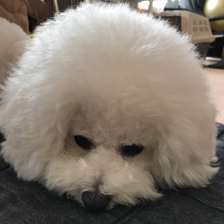 0ae79b96 13c2 40c5 b65e 51ca942c556b 1541562182444