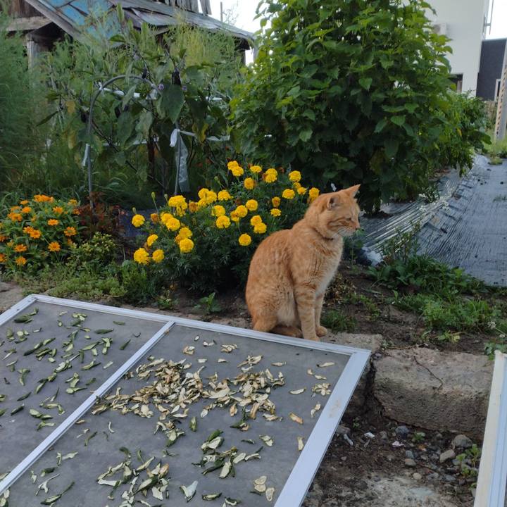 0ae7f3df ffa9 4a4b 8633 6d13181c92db 1692048115588