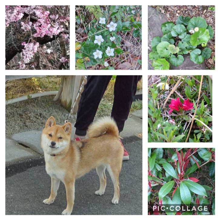 0ae7f928 65c1 462d 9d4c bc350188bd6e 1648255161169