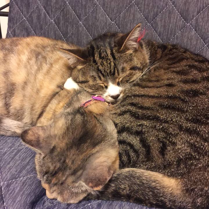 0ae836d8 5bbf 4734 9ebe 1ae554a79003 1560256102452