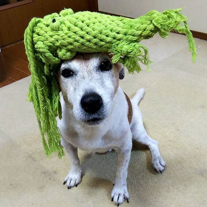 0ae83f48 b5a9 42a5 baae aed86f566bd6 1532984882100