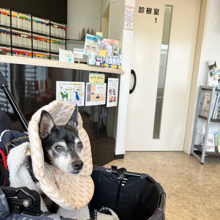 0ae845cc 35f3 490c 8721 d4f4620fb746 1642845657593