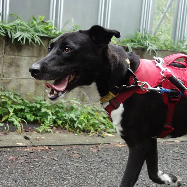 0ae860cb 23d8 4744 9573 4b5b652a0062 1600127582454