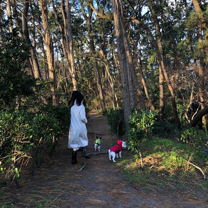 0ae89f7b 3c4e 42e0 a36b fac024bb5a07 1577498321820