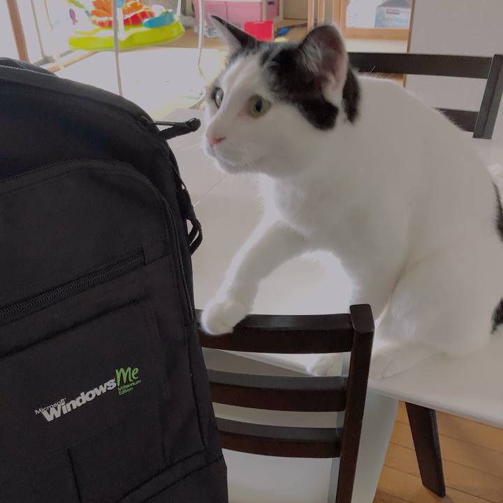 0ae8b7db 3dbe 4d67 bb57 734735db5129 1595983754877