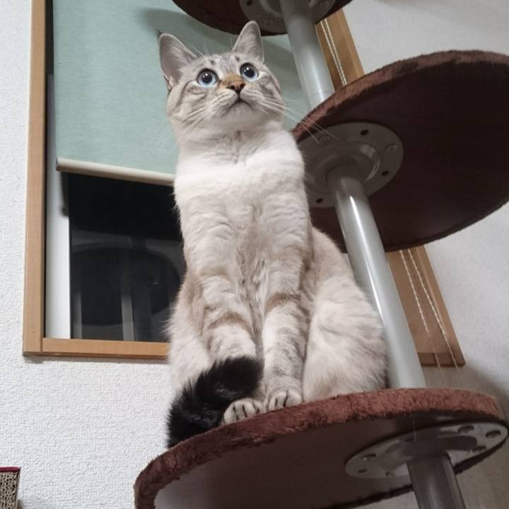 0ae8bf4e 0b9e 436e a815 2165ff851a71 1510570880414