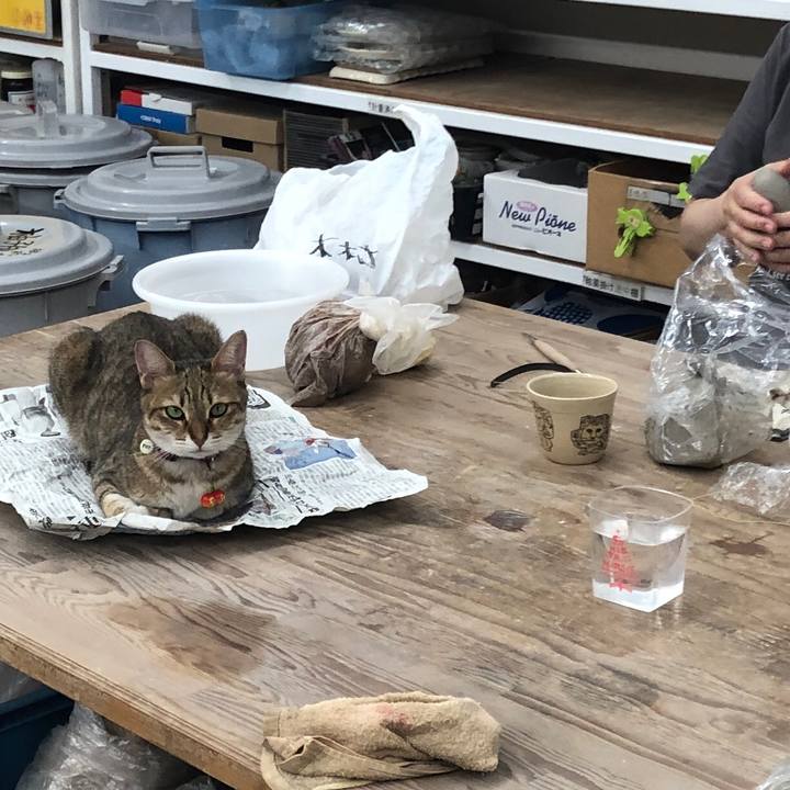 0ae8c64a 06dc 4e9b 9abc 34ecaa0bc05a 1662164443648