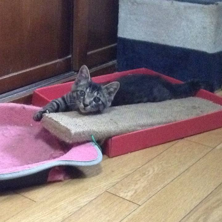 0ae8ee73 5b9a 45f7 9945 624cfc0cc75c 1530103105227