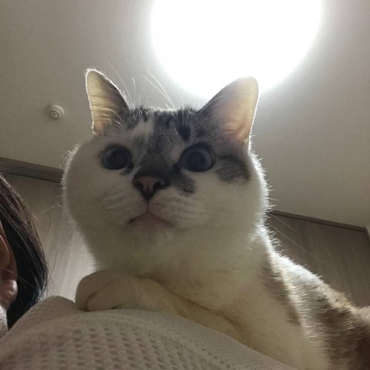 0ae90e96 74c3 40fc 88eb cf05a98197e2 1521446771174